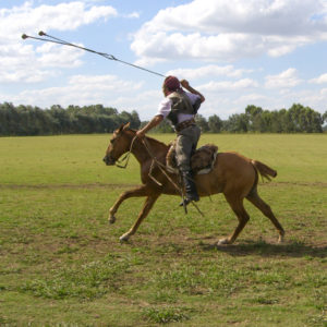 A day on the Pampas (Santa Susana)