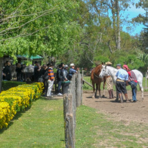 Farm & Countryside (El Ombu)