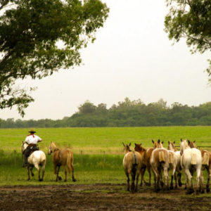 Fiesta Gaucha "Santa Susana"